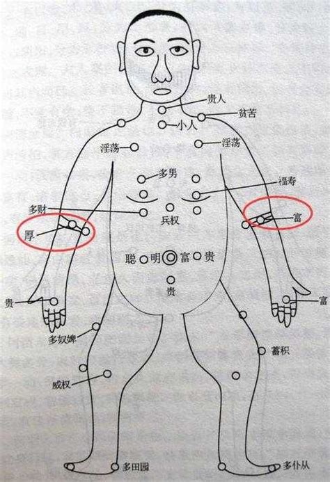 手臂有痣女|痣的位置透露出這些訊息！上手臂有痣不乏追求者、手。